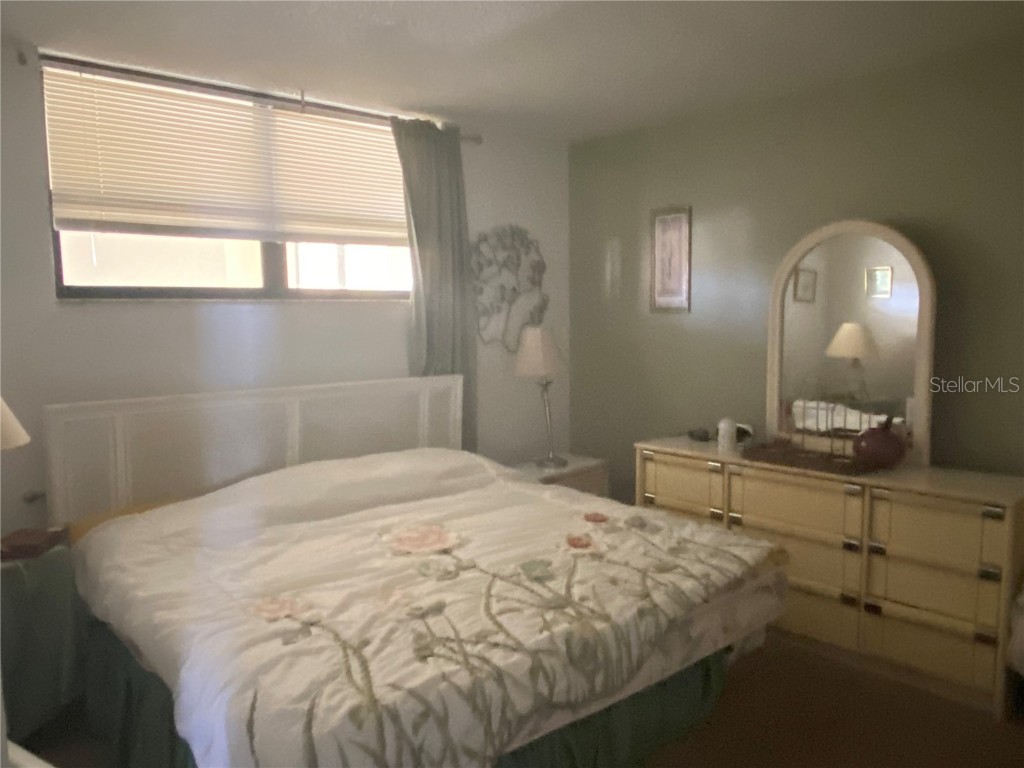 300 Woodette Drive #203 Dunedin FL 34698 - ST. JOSEPH SOUND U8242309 image38