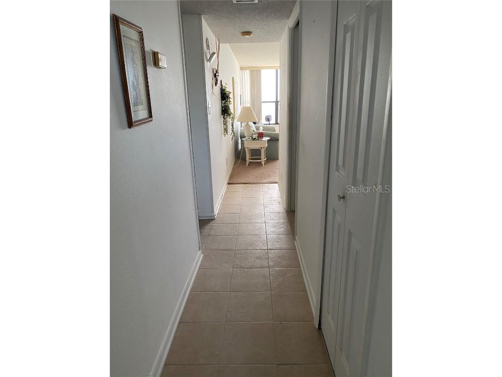 300 Woodette Drive #203 Dunedin FL 34698 - ST. JOSEPH SOUND U8242309 image41