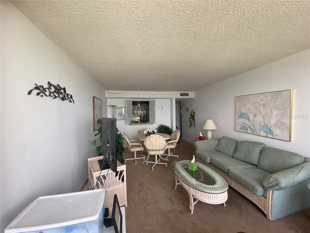 300 Woodette Drive #203 Dunedin FL 34698 - ST. JOSEPH SOUND U8242309 image44