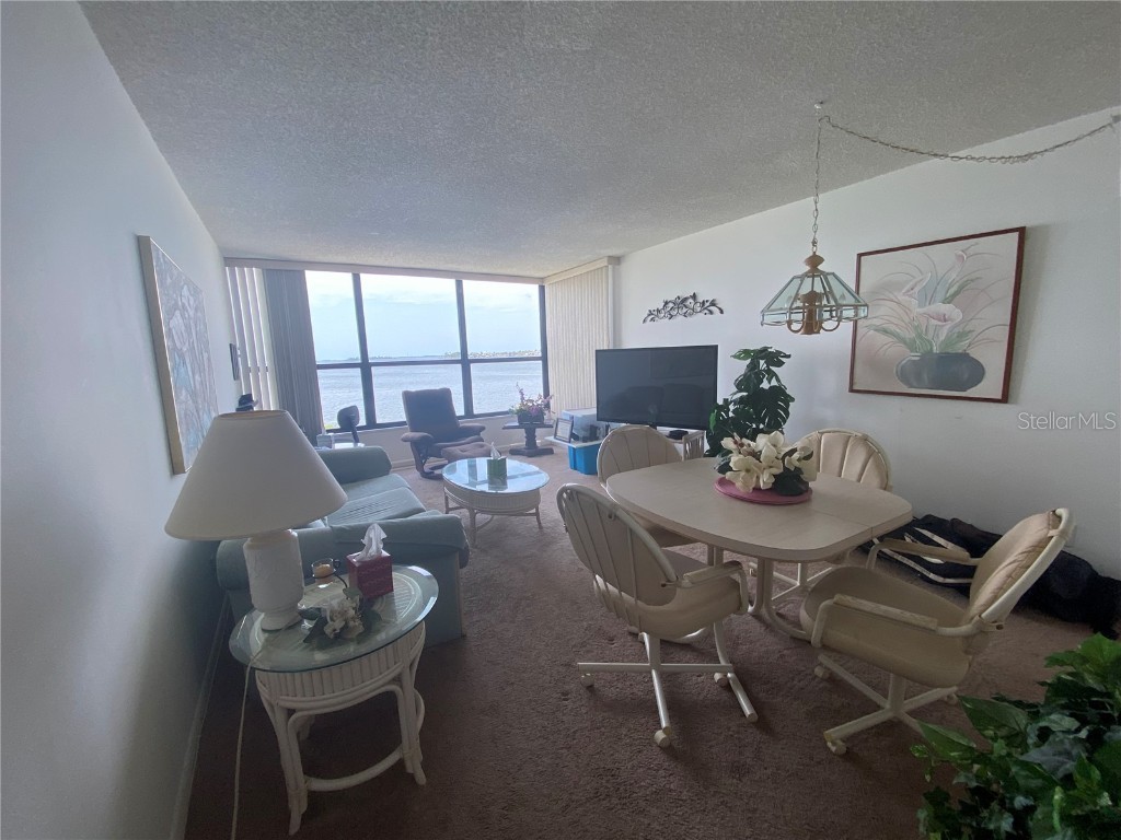 300 Woodette Drive #203 Dunedin FL 34698 - ST. JOSEPH SOUND U8242309 image45