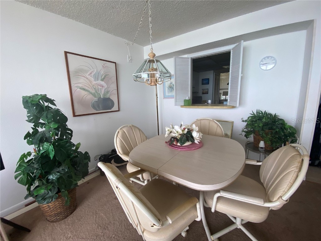 300 Woodette Drive #203 Dunedin FL 34698 - ST. JOSEPH SOUND U8242309 image46