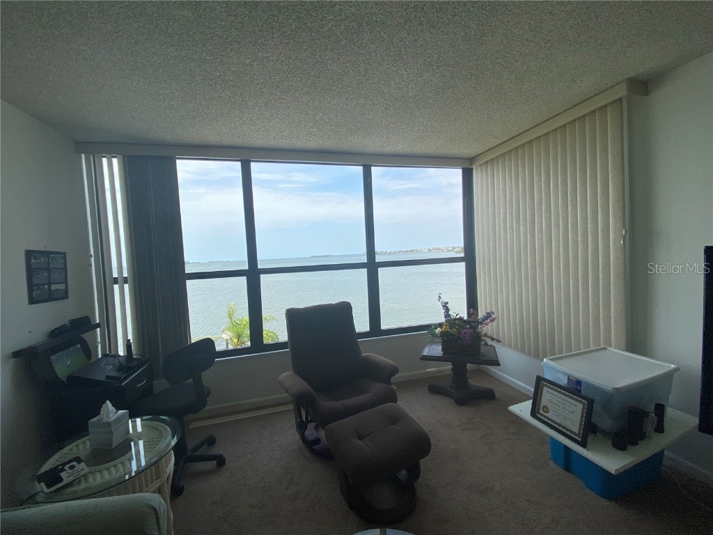 300 Woodette Drive #203 Dunedin FL 34698 - ST. JOSEPH SOUND U8242309 image51