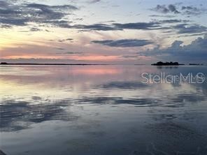 300 Woodette Drive #303 Dunedin FL 34698 - GULF OF MEXICO TB8480355 image1