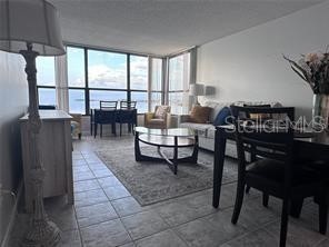 300 Woodette Drive #303 Dunedin FL 34698 - GULF OF MEXICO TB8480355 image5