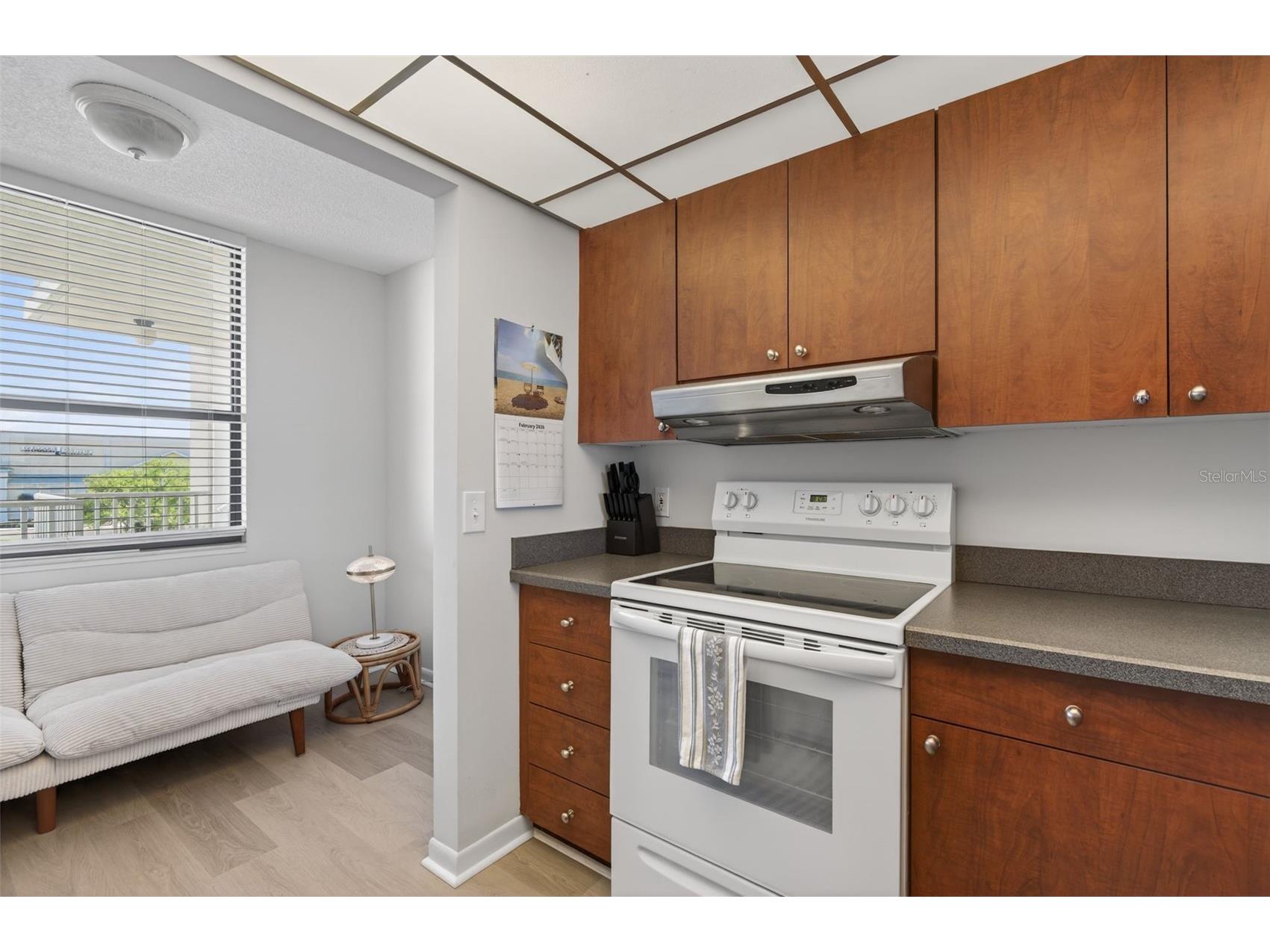 300 Woodette Drive #404B Dunedin FL 34698 TB8487965 image18