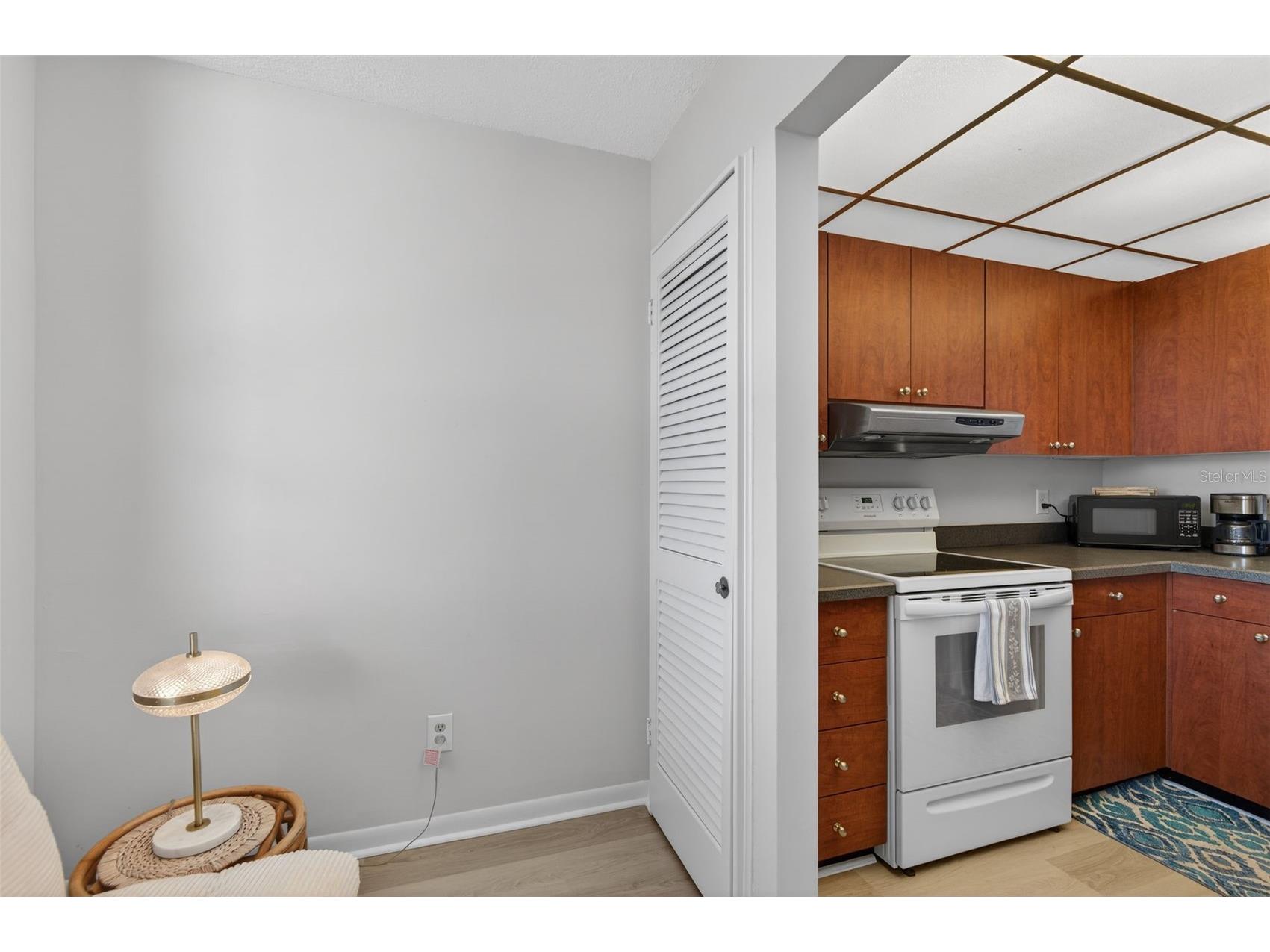 300 Woodette Drive #404B Dunedin FL 34698 TB8487965 image22