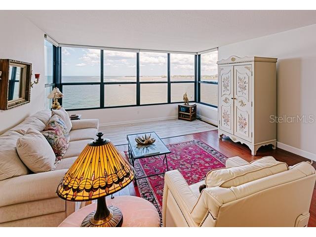 300 Woodette Drive #504B Dunedin FL 34698 - ST. JOSEPH SOUND AND GULF OF MEXICO TB8484111 image10