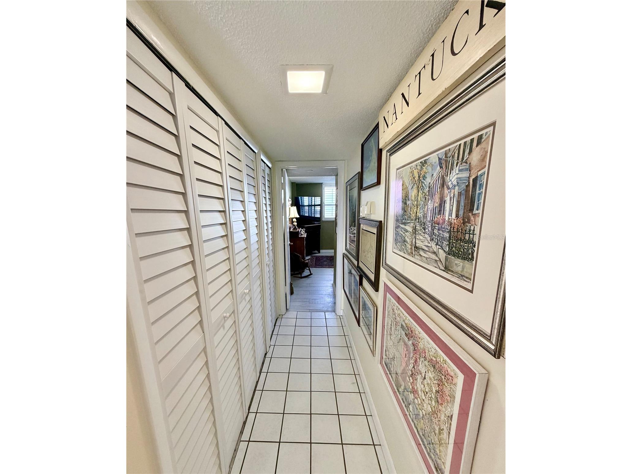 300 Woodette Drive #504B Dunedin FL 34698 - ST. JOSEPH SOUND AND GULF OF MEXICO TB8484111 image15