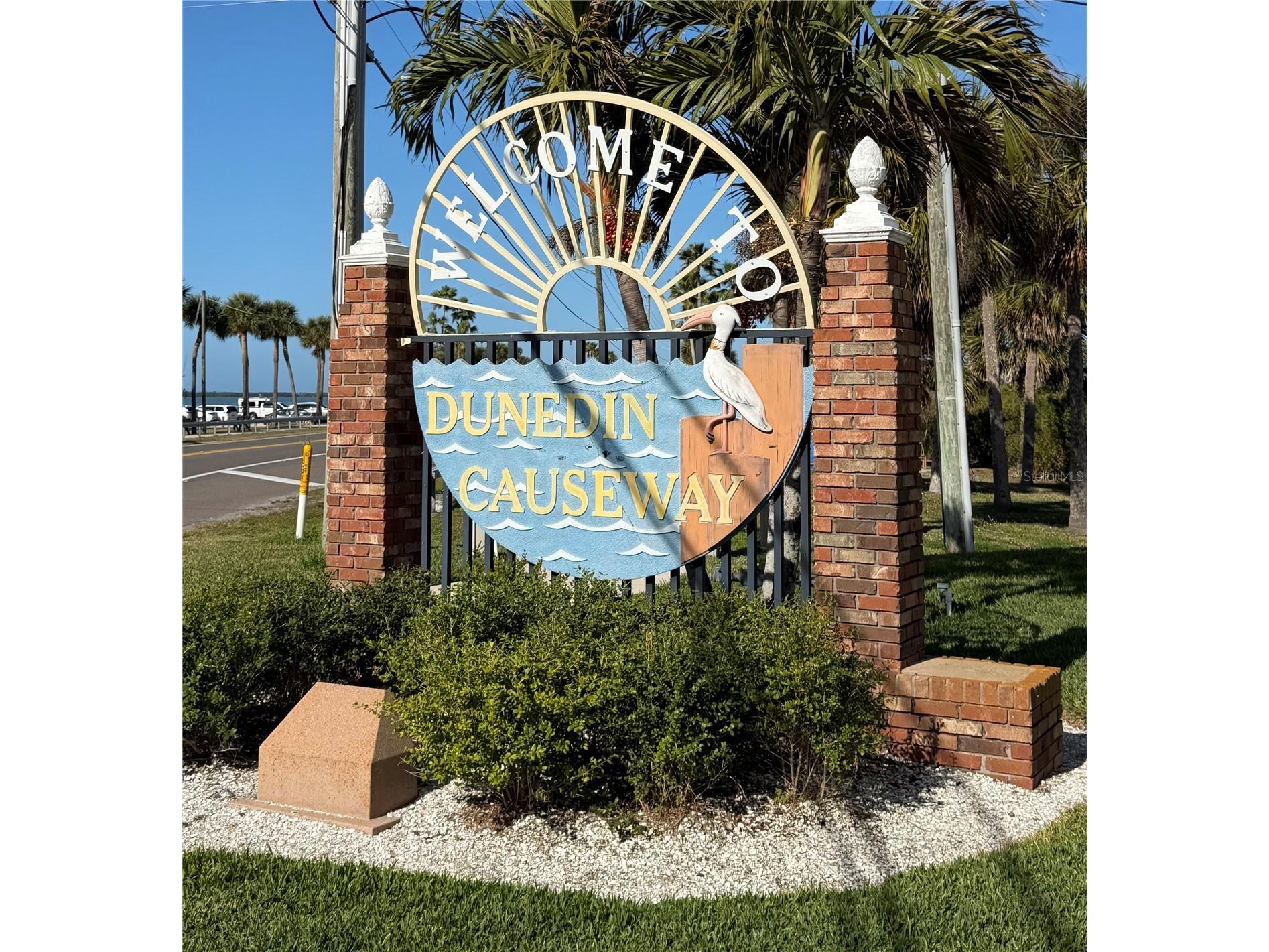 300 Woodette Drive #504B Dunedin FL 34698 - ST. JOSEPH SOUND AND GULF OF MEXICO TB8484111 image29