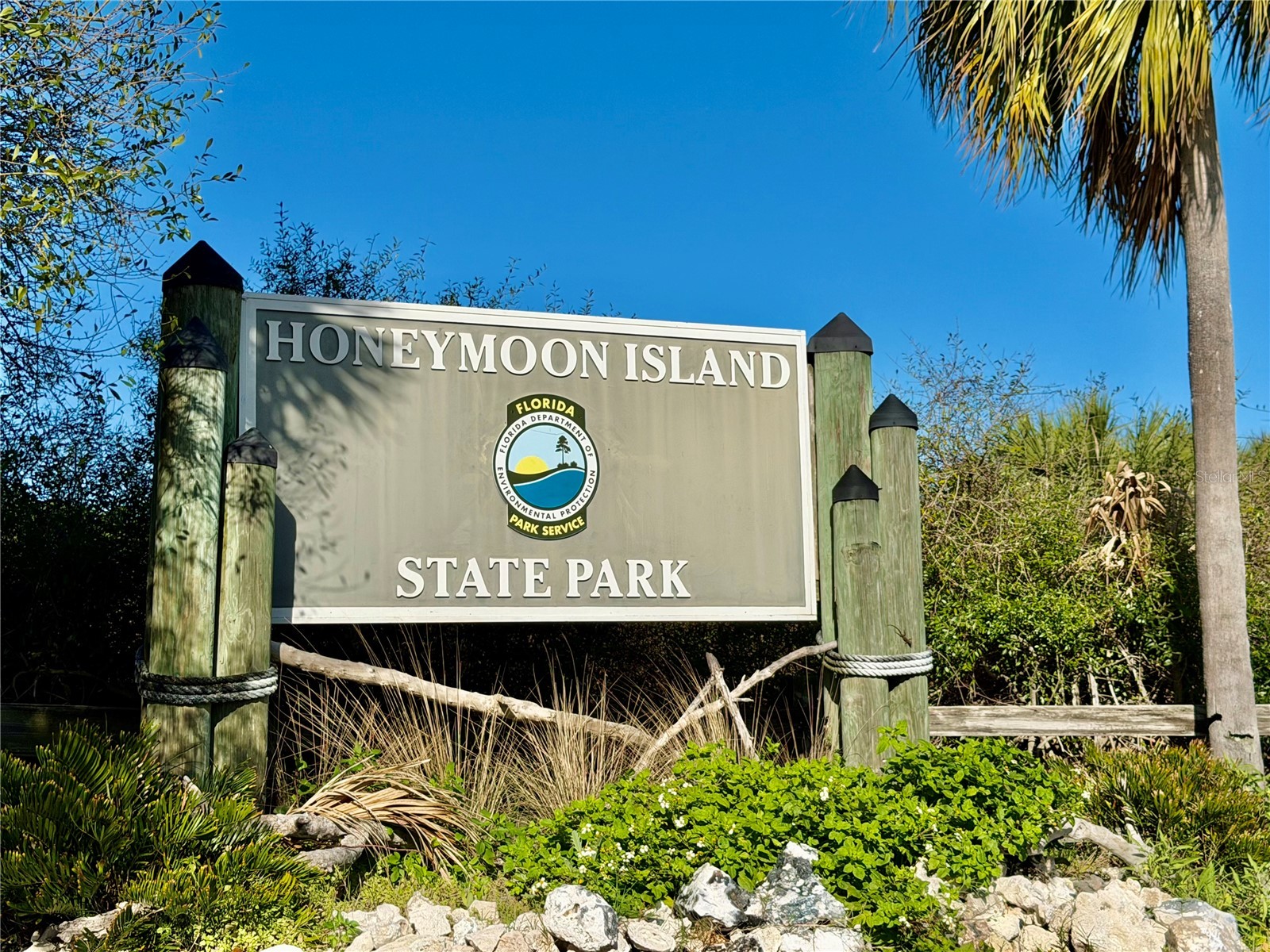 300 Woodette Drive #504B Dunedin FL 34698 - ST. JOSEPH SOUND AND GULF OF MEXICO TB8484111 image30