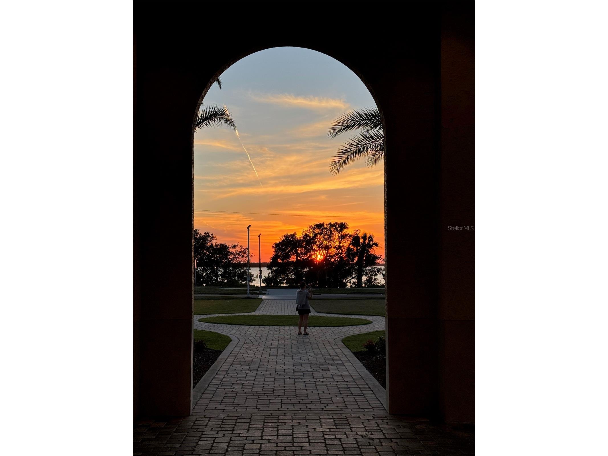 300 Woodette Drive #504B Dunedin FL 34698 - ST. JOSEPH SOUND AND GULF OF MEXICO TB8484111 image33