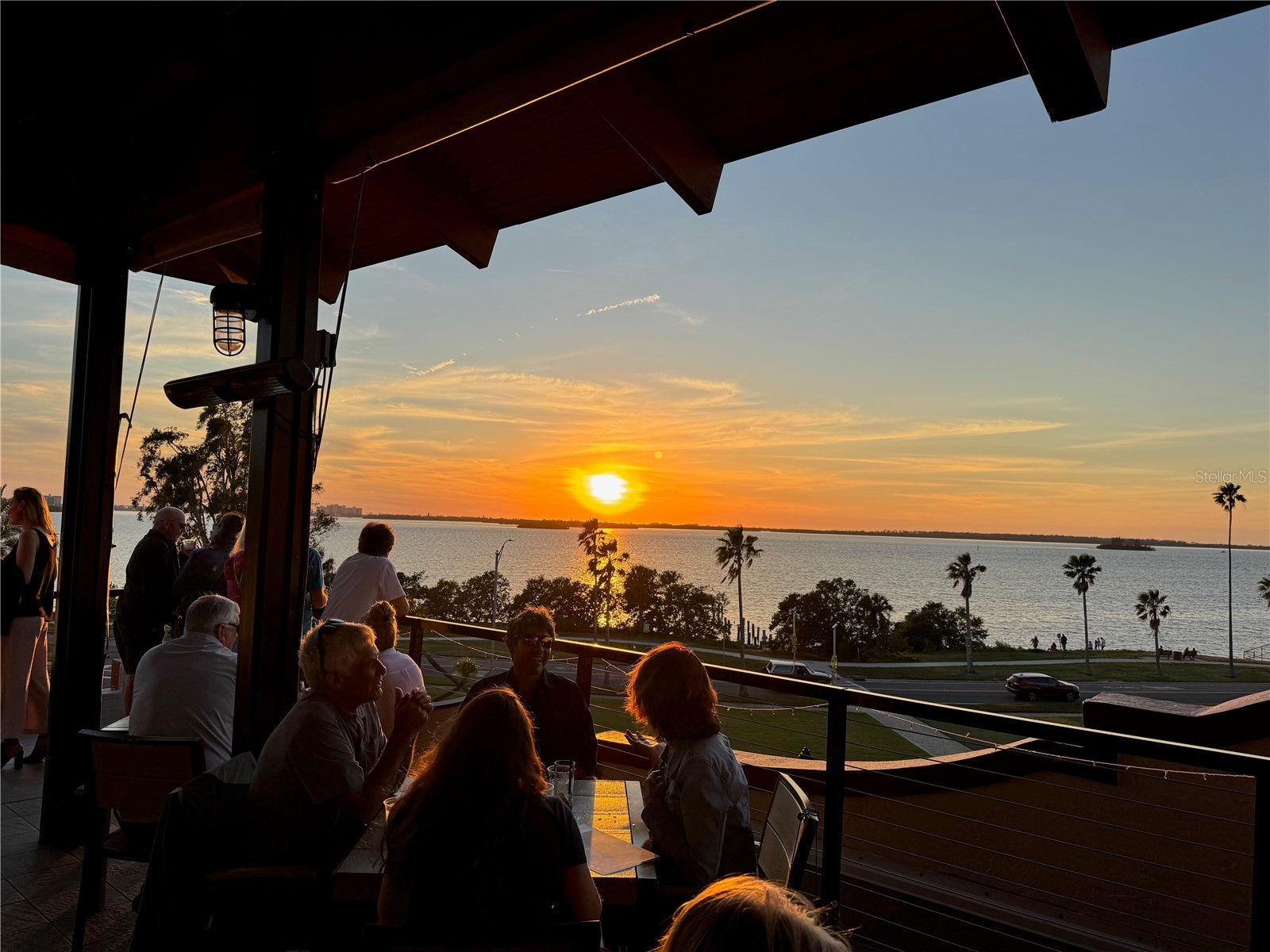 300 Woodette Drive #504B Dunedin FL 34698 - ST. JOSEPH SOUND AND GULF OF MEXICO TB8484111 image34