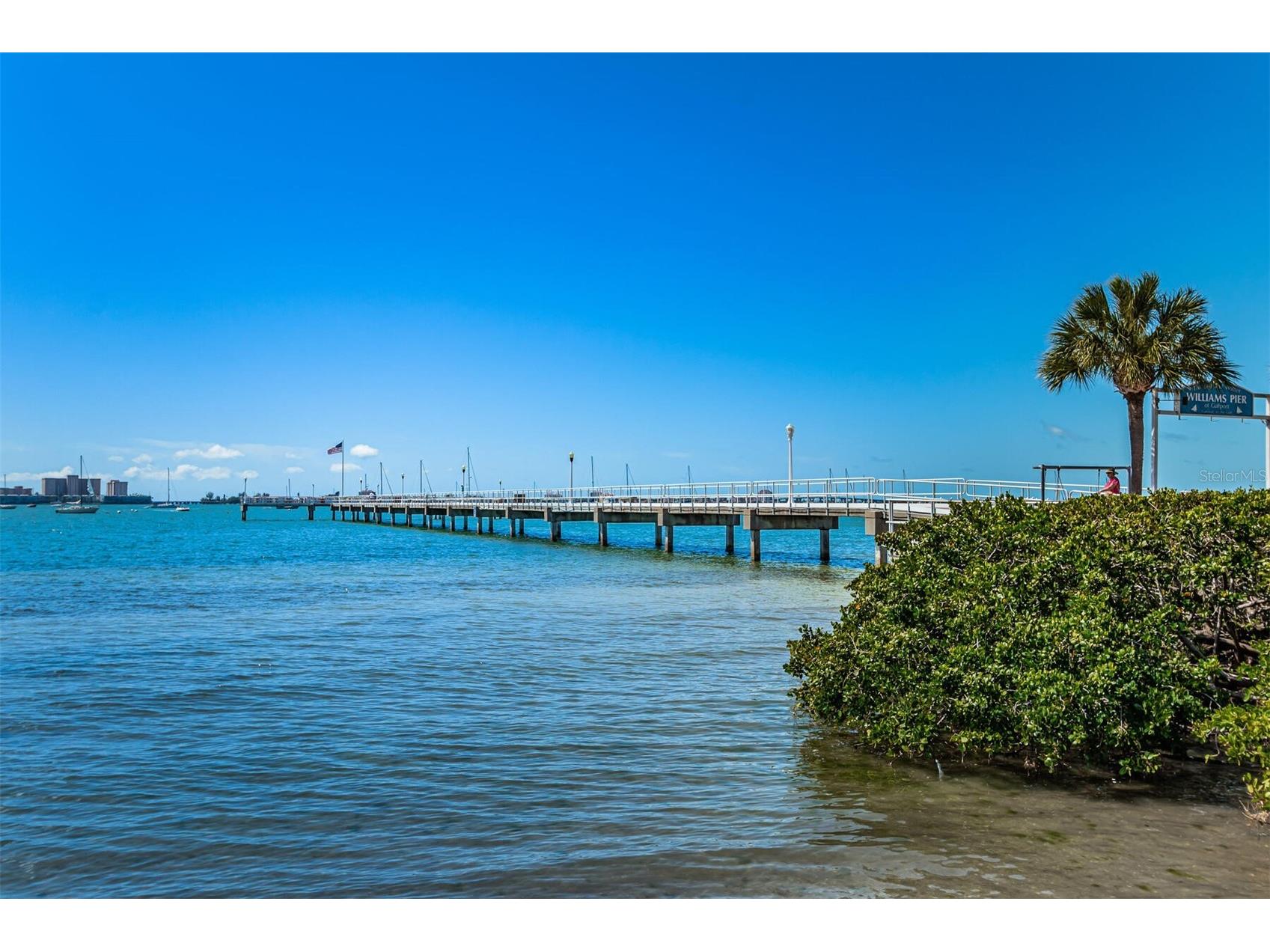 3000 Beach Boulevard S #6 Gulfport FL 33707 TB8495307 image21