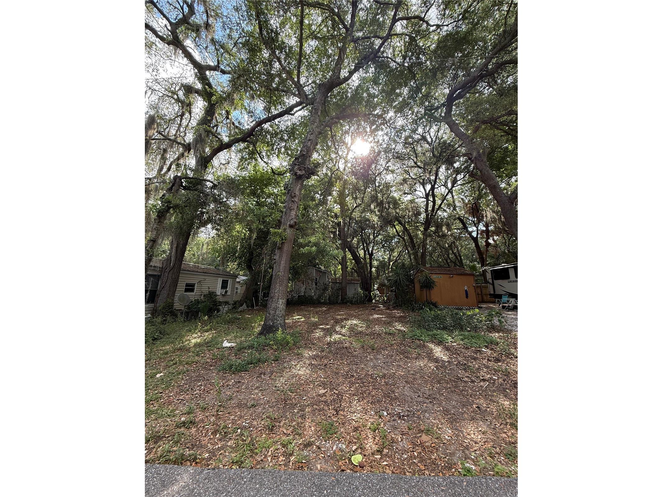 3000 Clarcona Road #1116 Apopka FL 32703 O6412109 image2