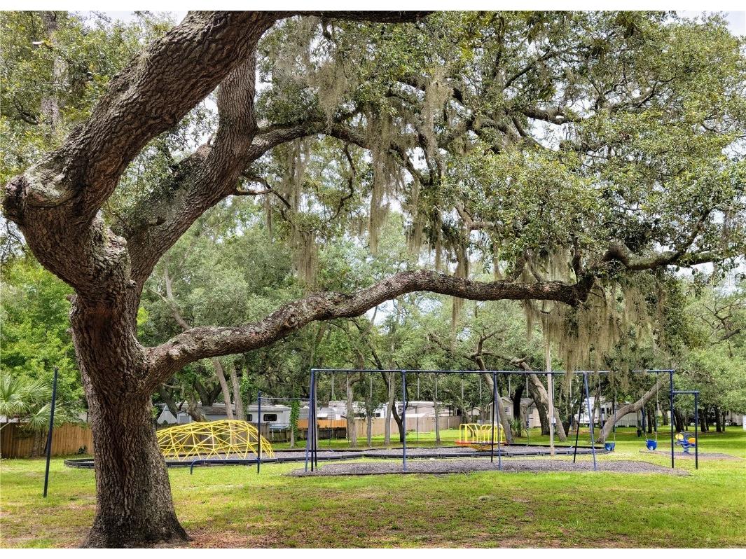 3000 Clarcona Road #2710 Apopka FL 32703 O6184306 image23