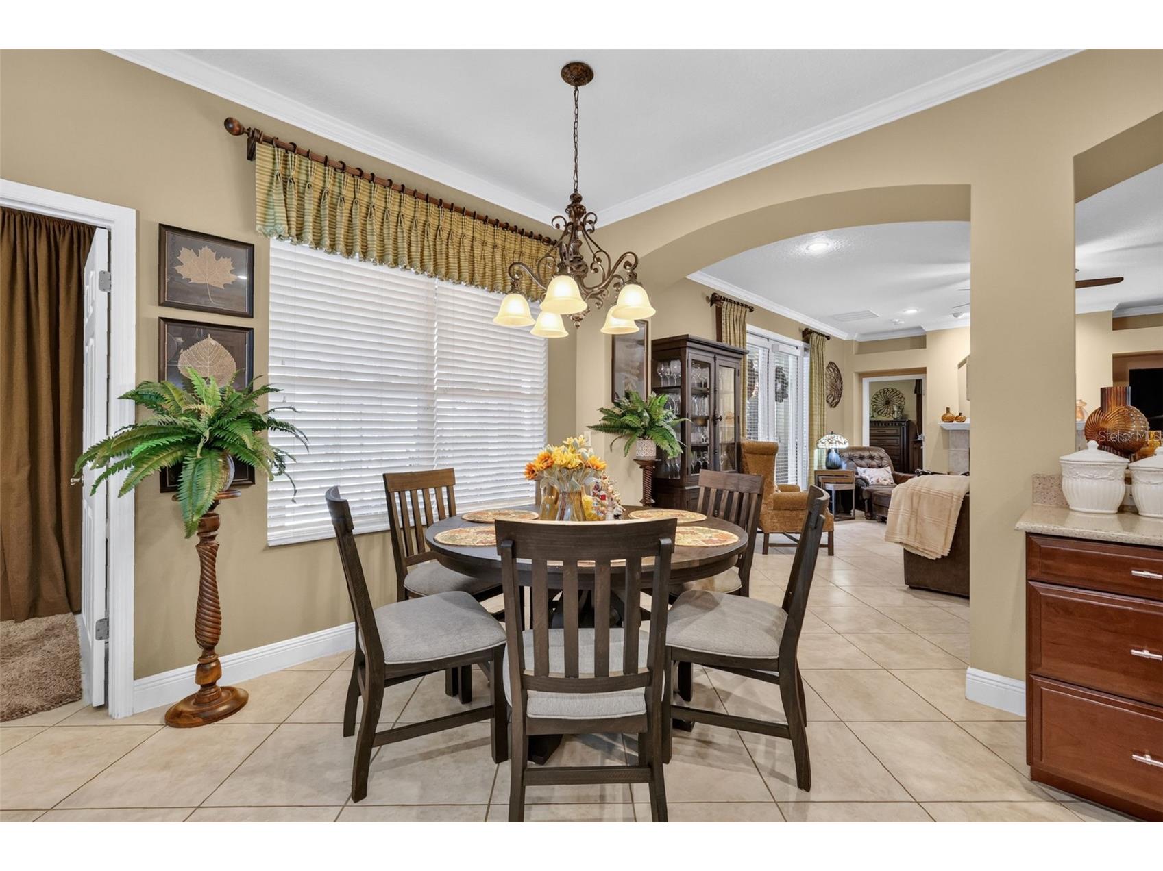 3000 Isola Bella Boulevard Mount Dora FL 32757 O6423699 image30