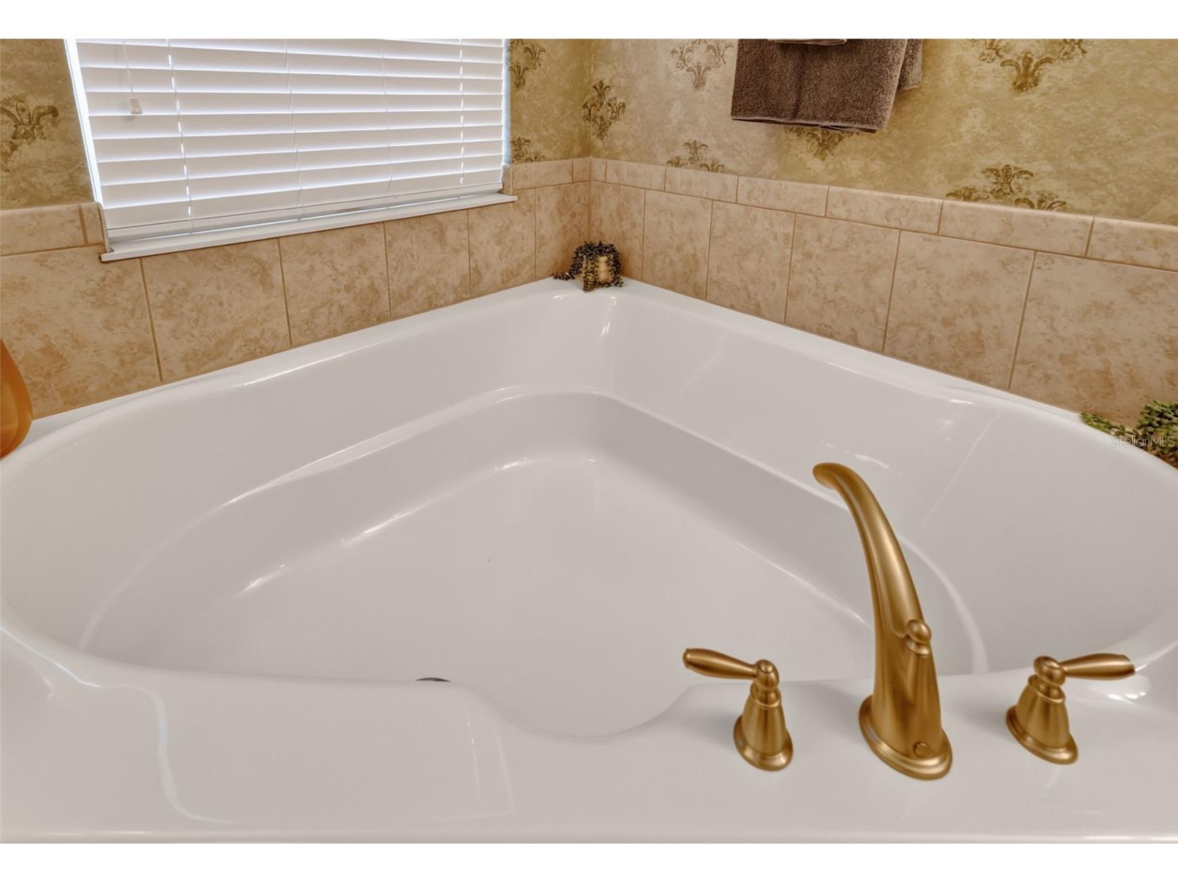 3000 Isola Bella Boulevard Mount Dora FL 32757 O6423699 image42