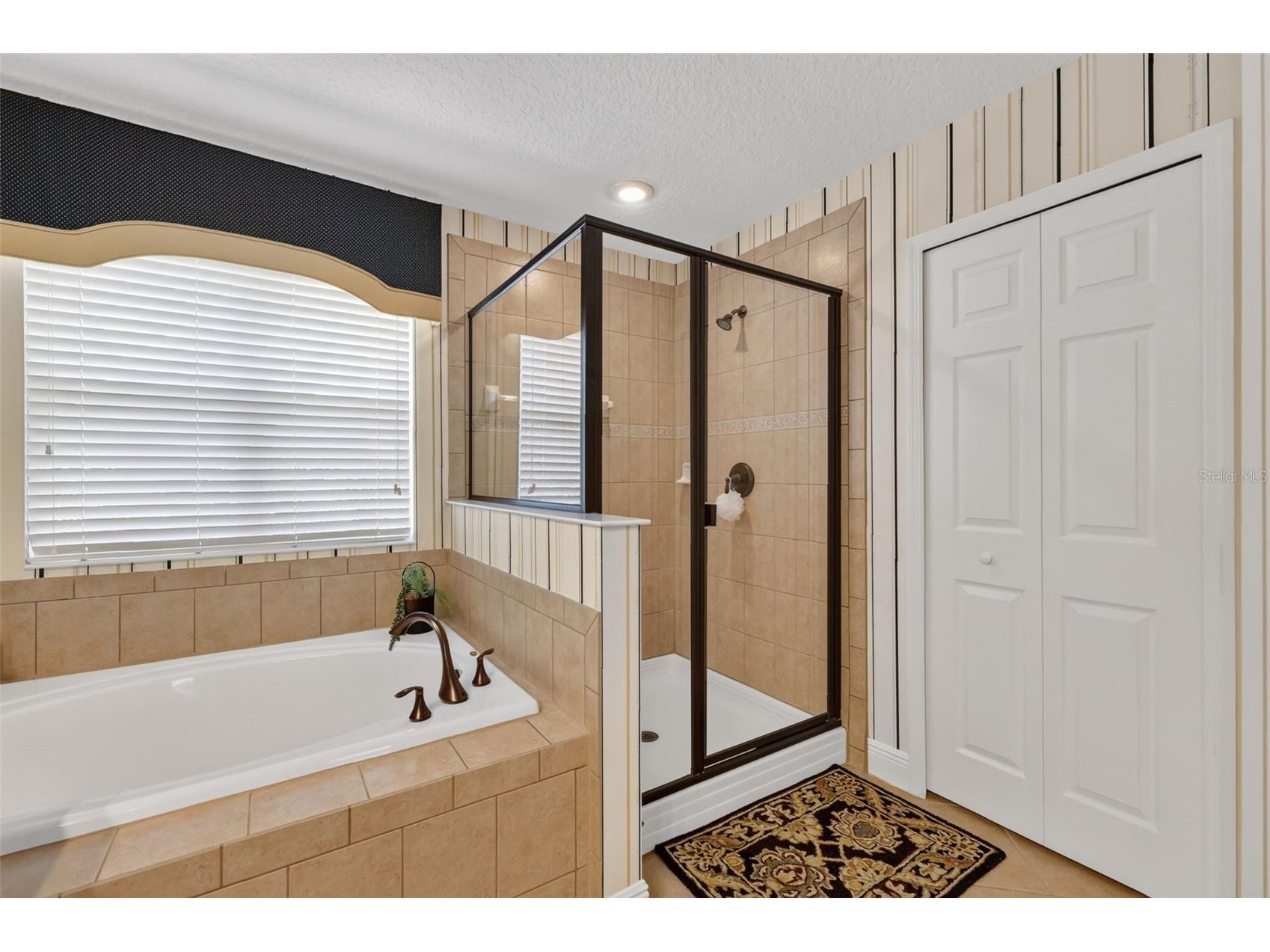 3000 Isola Bella Boulevard Mount Dora FL 32757 O6423699 image63