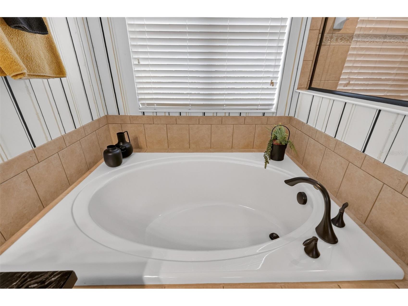 3000 Isola Bella Boulevard Mount Dora FL 32757 O6423699 image64