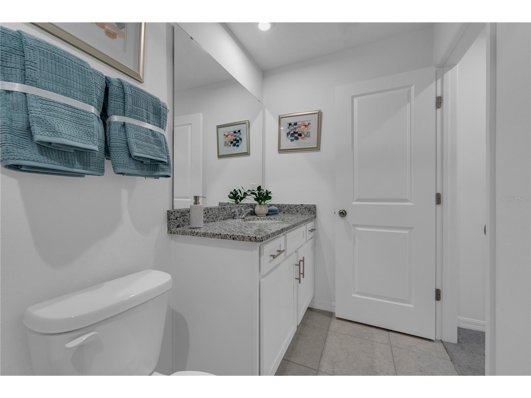 3000 Jessamine Drive Tavares FL 32778 O6389744 image14