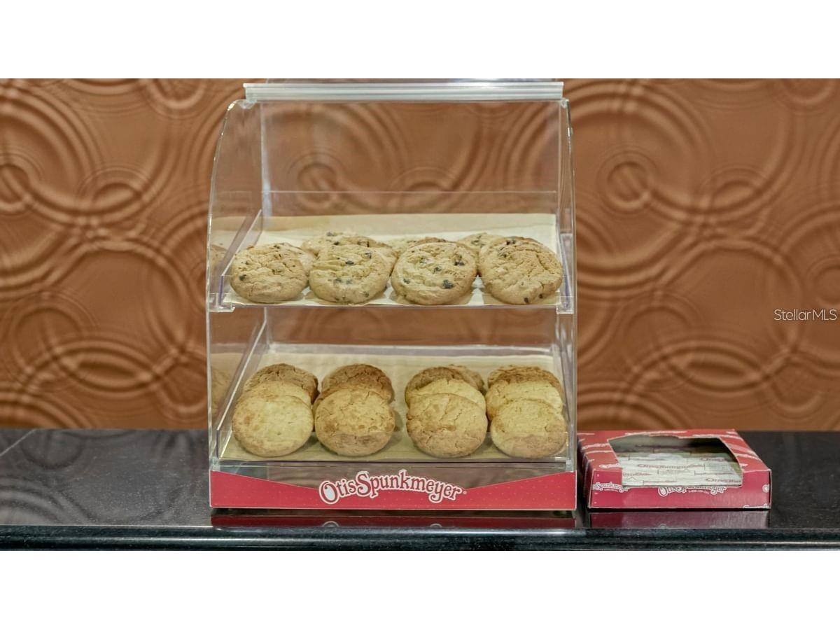 3000 Maingate Lane #520 Kissimmee FL 34747 O6289214 image14