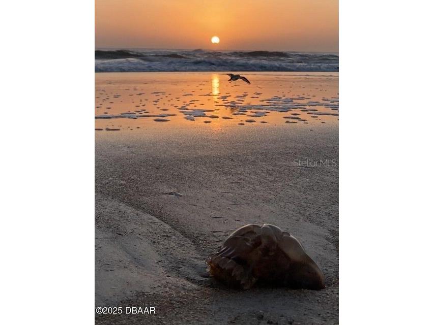 3000 Ocean Shore Boulevard #150 Ormond Beach FL 32176 - ATLANTIC OCEAN FC309520 image58