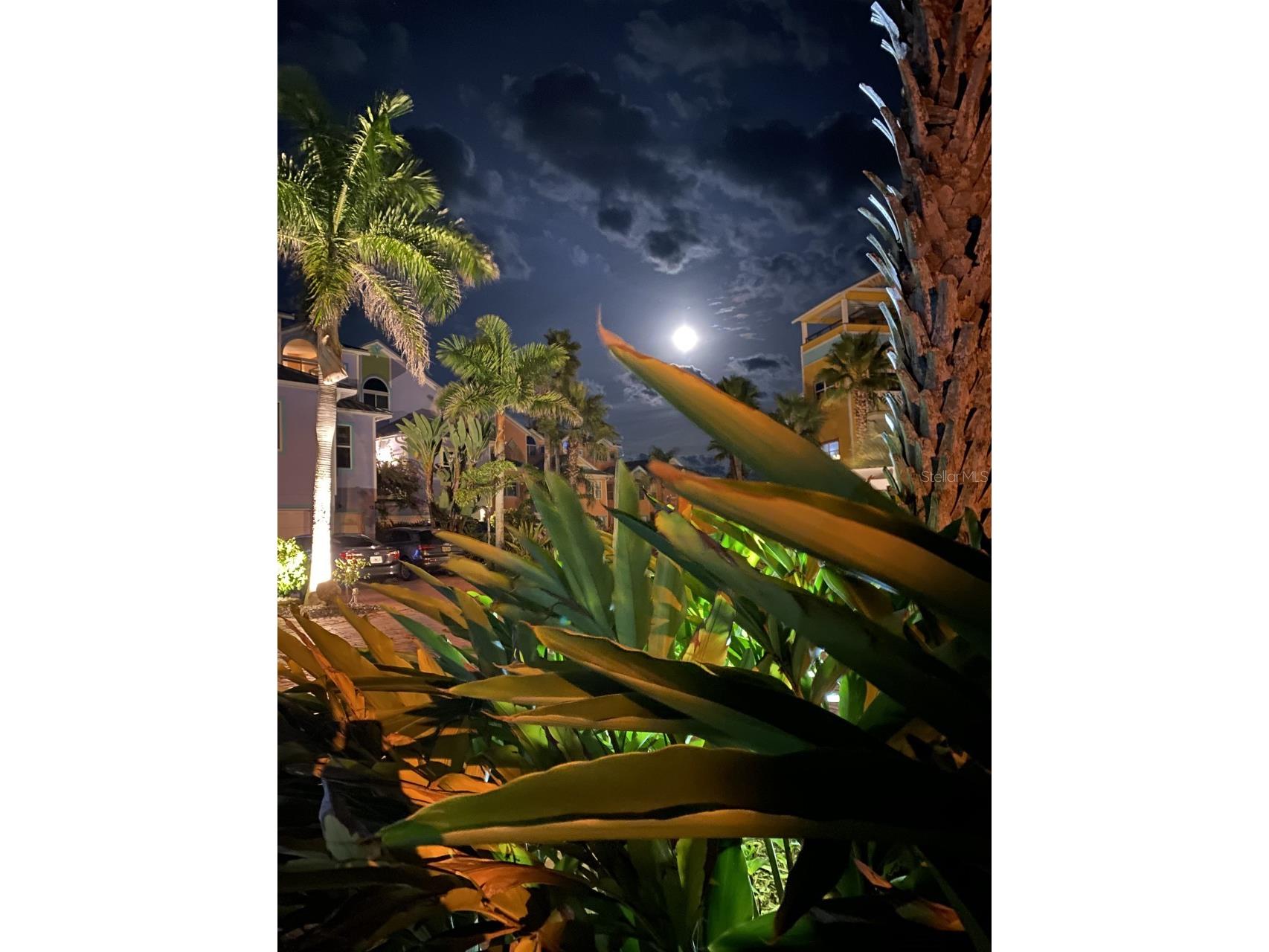 3000 Ocean Shore Boulevard #150 Ormond Beach FL 32176 FC317729 image2