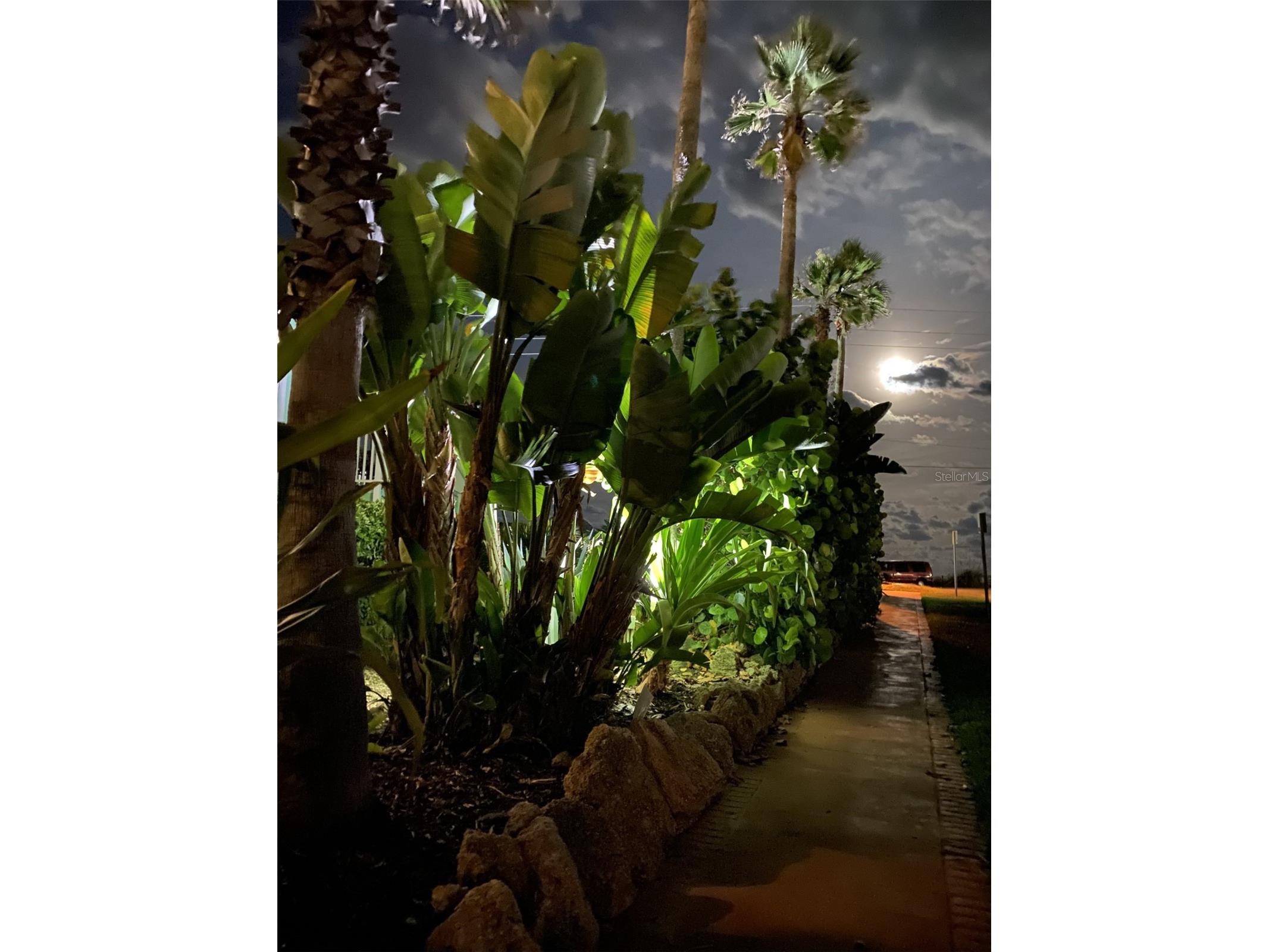 3000 Ocean Shore Boulevard #150 Ormond Beach FL 32176 FC317729 image49