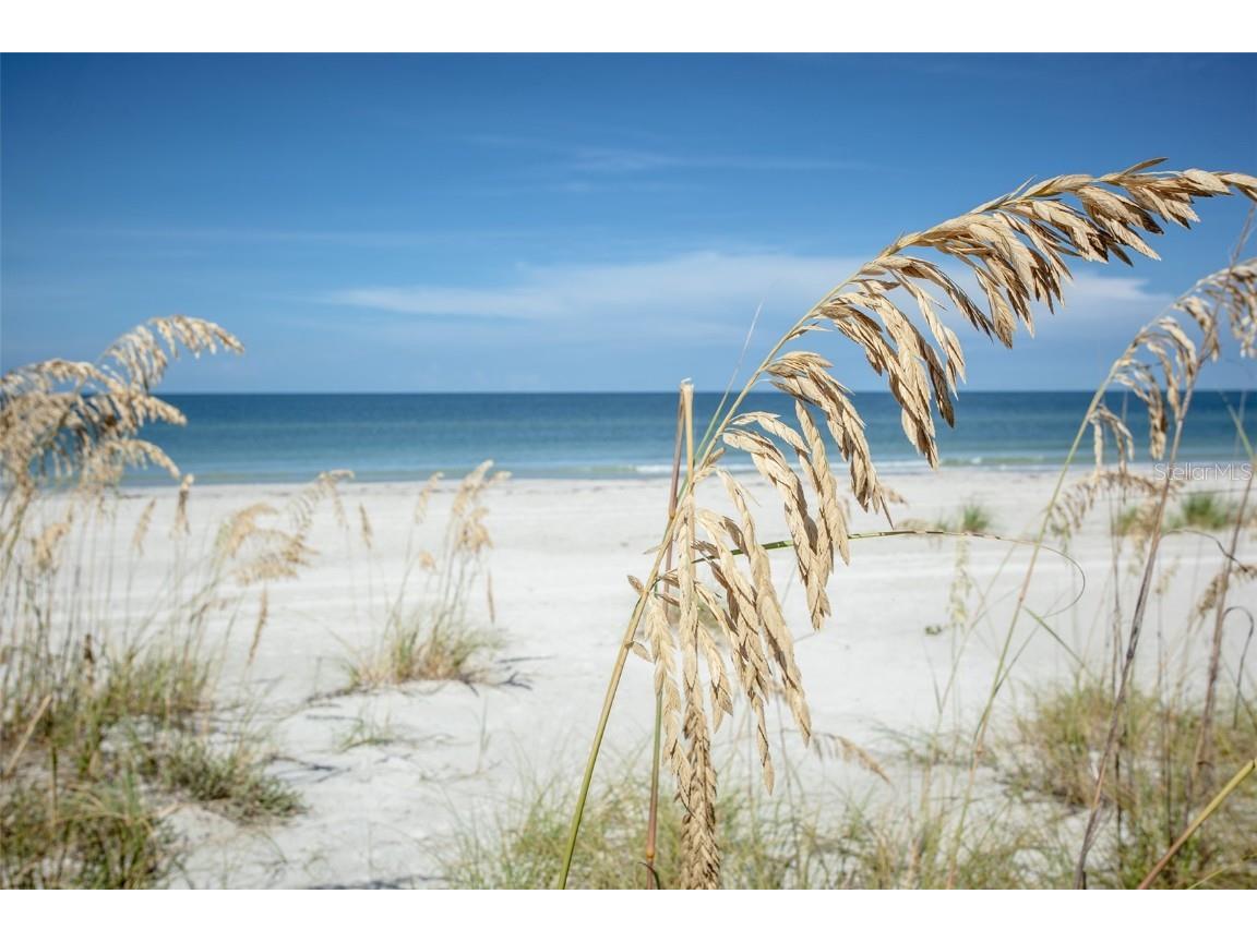 3000 Pass A Grille Way Saint Pete Beach FL 33706 - GULF OF MEXICO T3329209 image14