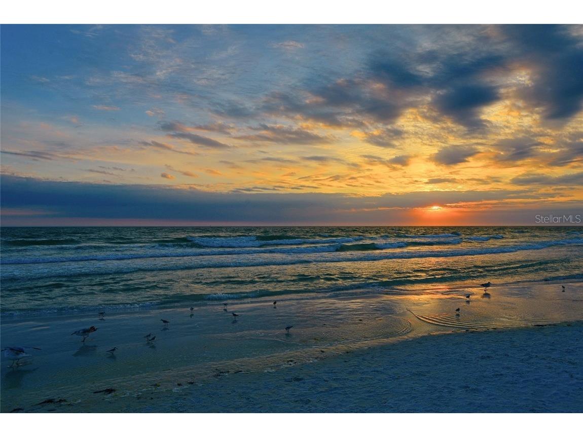 3000 Peace River Drive Punta Gorda FL 33983 - PEACE RIVER N6140543 image64