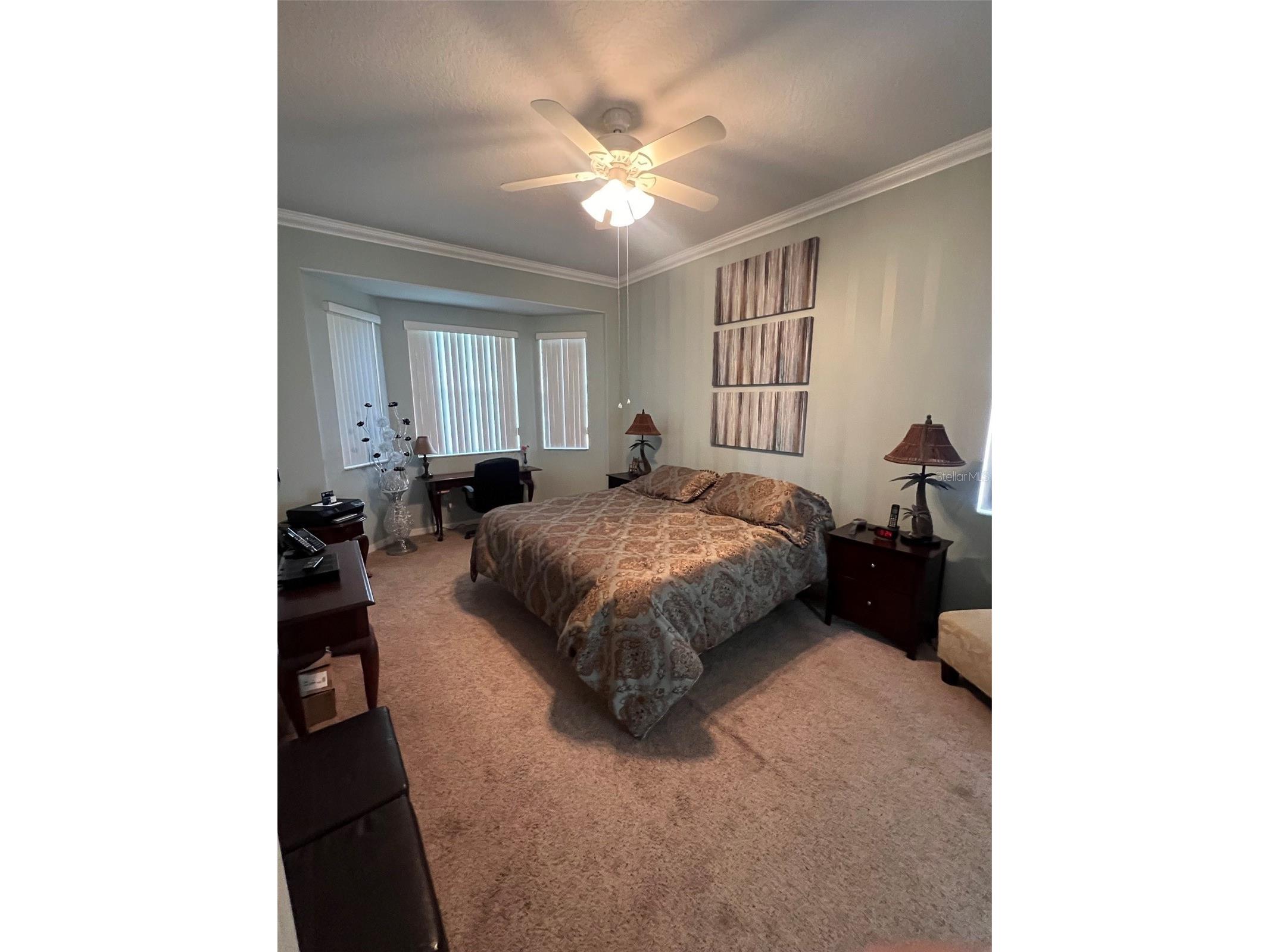 3000 Pinnacle Court Clermont FL 34711 G5111939 image10