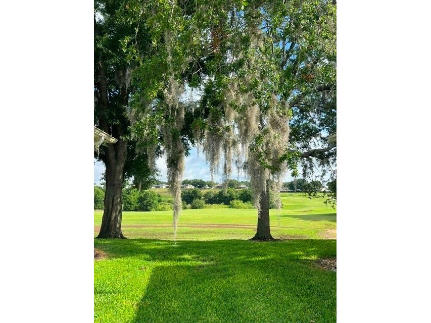3000 Pinnacle Court Clermont FL 34711 G5111939 image22