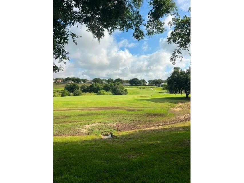 3000 Pinnacle Court Clermont FL 34711 G5111939 image23