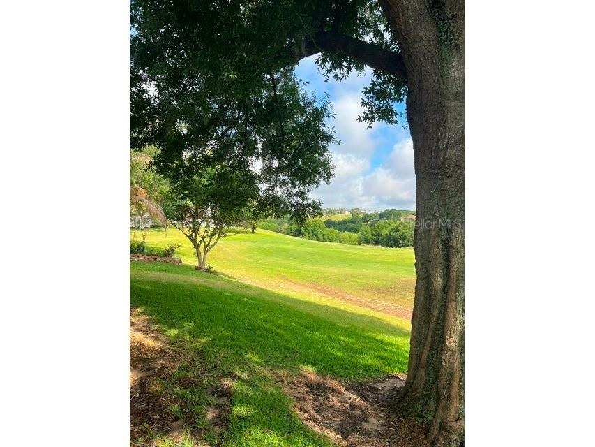 3000 Pinnacle Court Clermont FL 34711 G5111939 image24