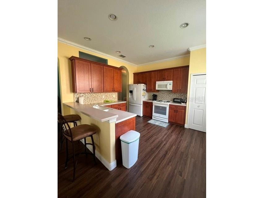 3000 Pinnacle Court Clermont FL 34711 G5111939 image3