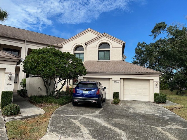 3000 Red Oak Court #204 Palm Harbor FL 34684 TB8456455 image1