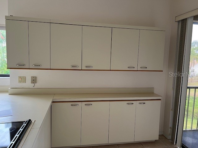 3000 Red Oak Court #204 Palm Harbor FL 34684 TB8456455 image12