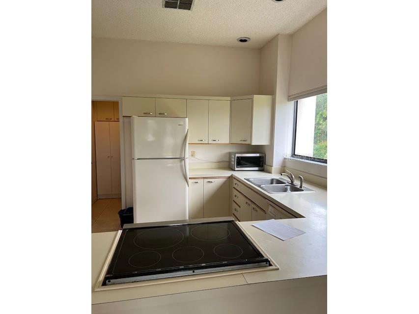 3000 Red Oak Court #204 Palm Harbor FL 34684 TB8456455 image14