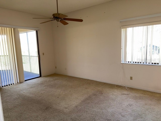 3000 Red Oak Court #204 Palm Harbor FL 34684 TB8456455 image19