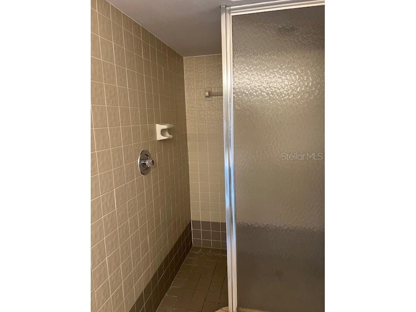 3000 Red Oak Court #204 Palm Harbor FL 34684 TB8456455 image21