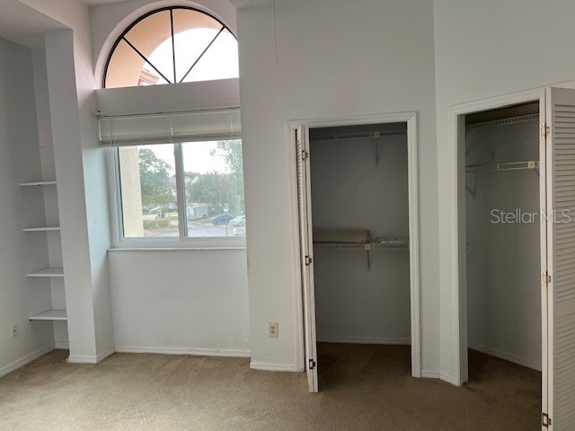 3000 Red Oak Court #204 Palm Harbor FL 34684 TB8456455 image24