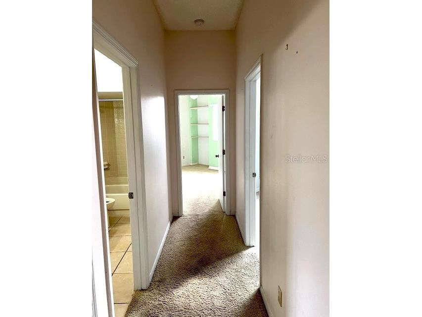 3000 Red Oak Court #204 Palm Harbor FL 34684 TB8456455 image25