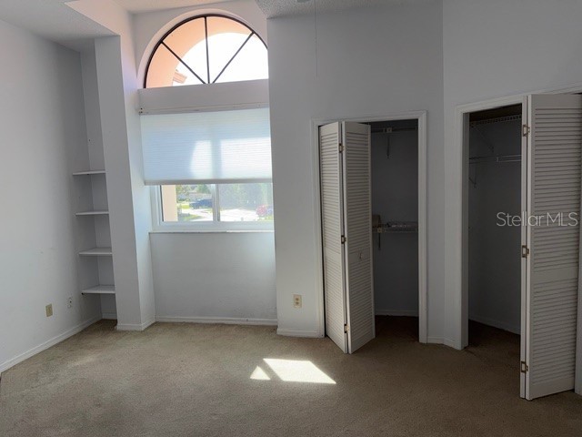 3000 Red Oak Court #204 Palm Harbor FL 34684 TB8456455 image26