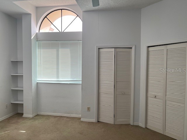 3000 Red Oak Court #204 Palm Harbor FL 34684 TB8456455 image27