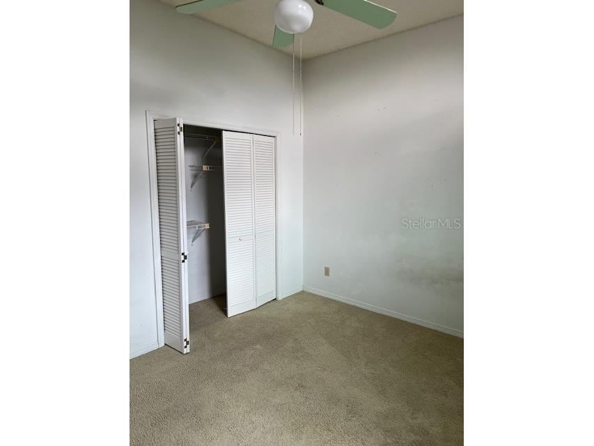 3000 Red Oak Court #204 Palm Harbor FL 34684 TB8456455 image29