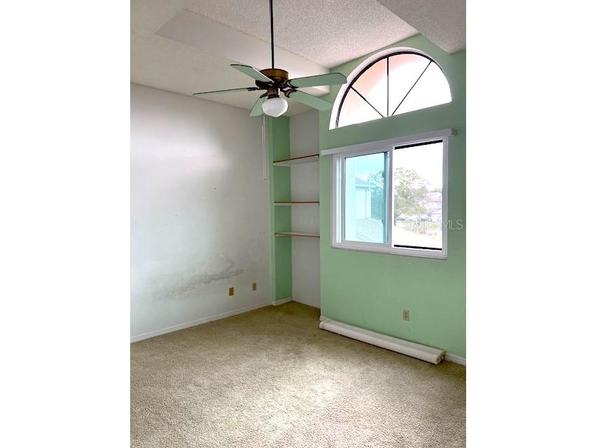 3000 Red Oak Court #204 Palm Harbor FL 34684 TB8456455 image30
