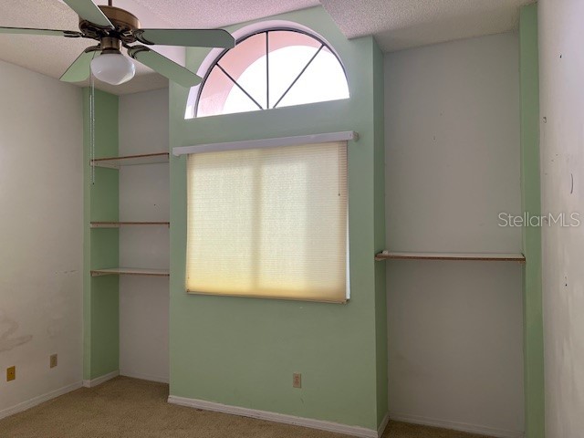3000 Red Oak Court #204 Palm Harbor FL 34684 TB8456455 image31