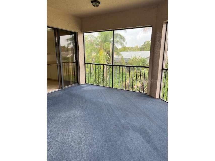 3000 Red Oak Court #204 Palm Harbor FL 34684 TB8456455 image33