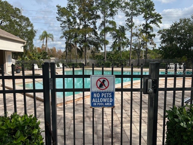 3000 Red Oak Court #204 Palm Harbor FL 34684 TB8456455 image35