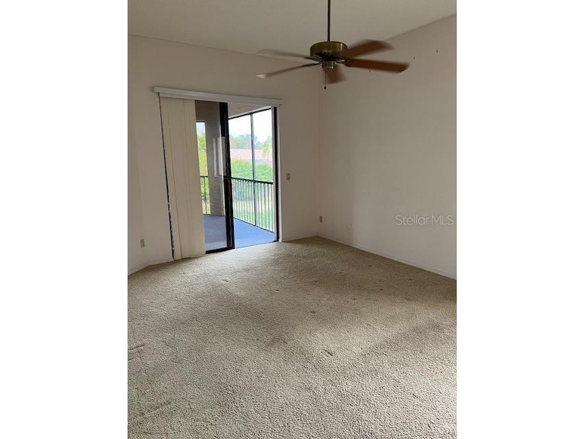 3000 Red Oak Court #204 Palm Harbor FL 34684 TB8456455 image5